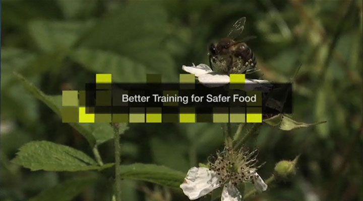 BTSF Video sur les abeilles de santé animale