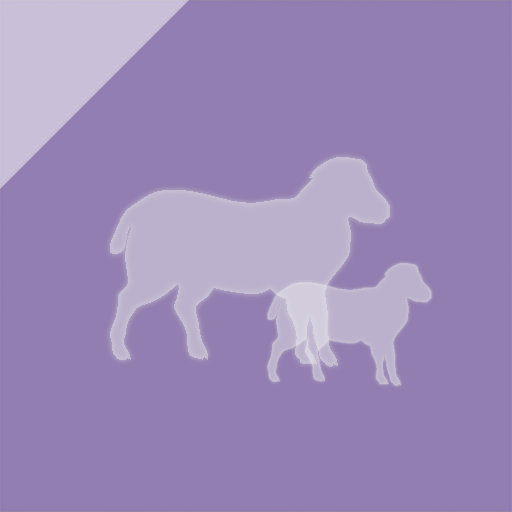 Carne de ovino y caprino
