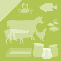 Alimentação animal — módulo eLearning
