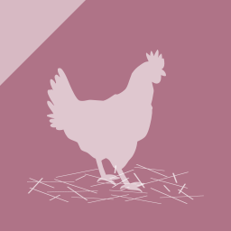 Animal welfare in poultry production - broilers