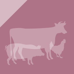 Benessere degli animali durante la macellazione e spopolamento (base)
