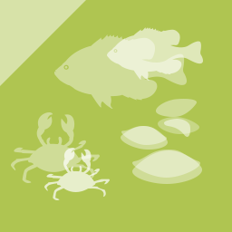 Pārtikas higiēnas primārā ražošana — dzīvas gliemenes
