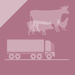 Animal welfare during transport (advanced)