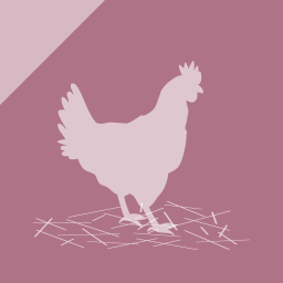 Bienestar animal en el sacrificio — aves de corral (avanzado)
