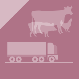 Enforcement of animal welfare during transport